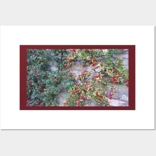 Paris Bois de Boulogne Red Berries Posters and Art